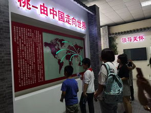 桃香引巧思，非遺潤童心——奉賢錢橋學校暑期親子體驗活動側記